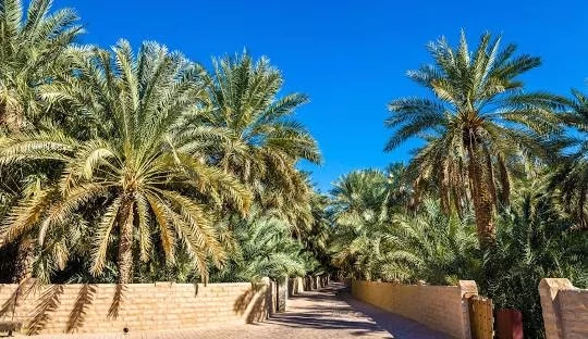 Al Ain
