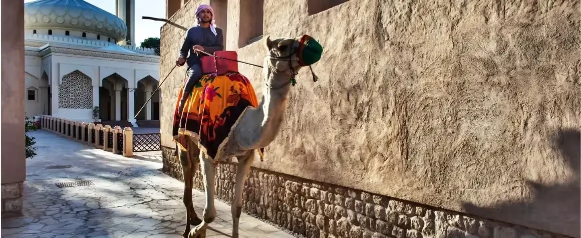 Tourist riding a camel through narrow Dubai alley (gali)