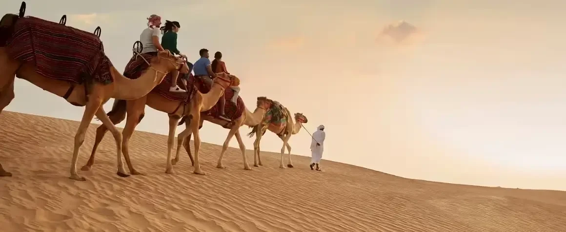 Tourists riding camels in the desert with guide during sunset safari