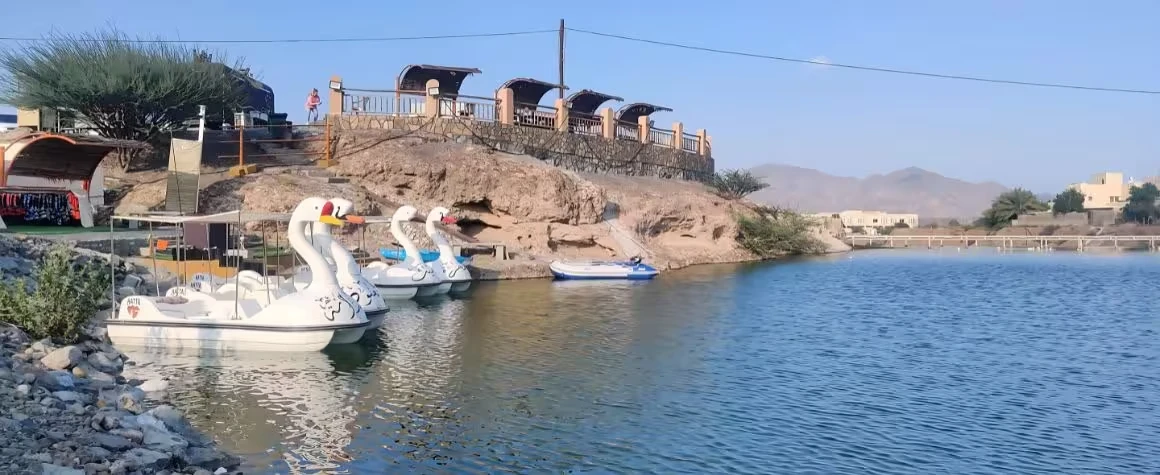 swan-lake-hatta-dubai-visit-image