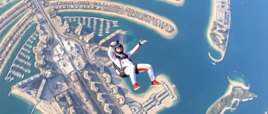 A man jumps from a sky dive, silhouetted against a palm tree in the background.