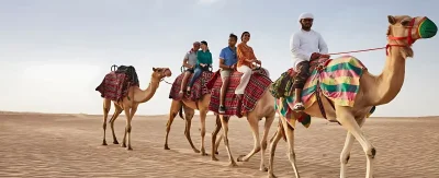 Tourists enjoying a guided camel ride across the desert during an Al Ain city tour from Dubai